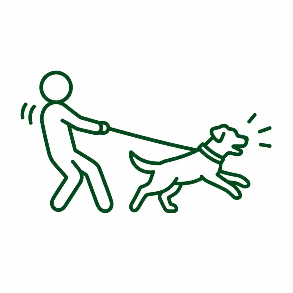 Icone représentant un chien qui tire en laisse