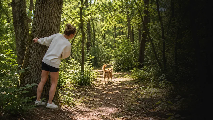 Propriétaire jouant avec son chien lors d'une promenade en forêt.