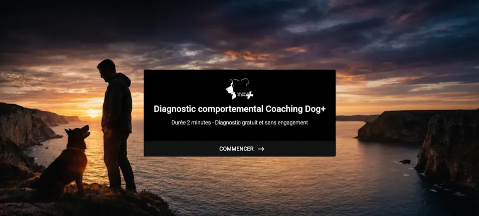 Écran présentant le diagnostic comportemental Coaching Dog.