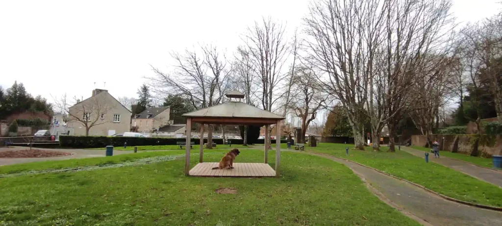 Séance d'éducation canine à Valognes