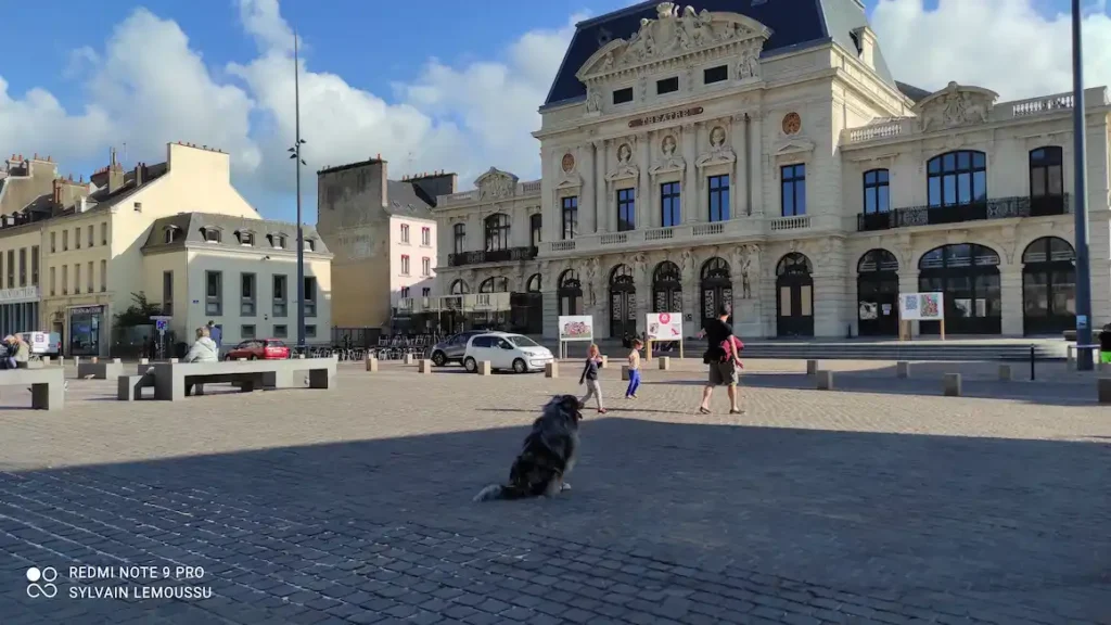 Séance d'éducation à Cherbourg