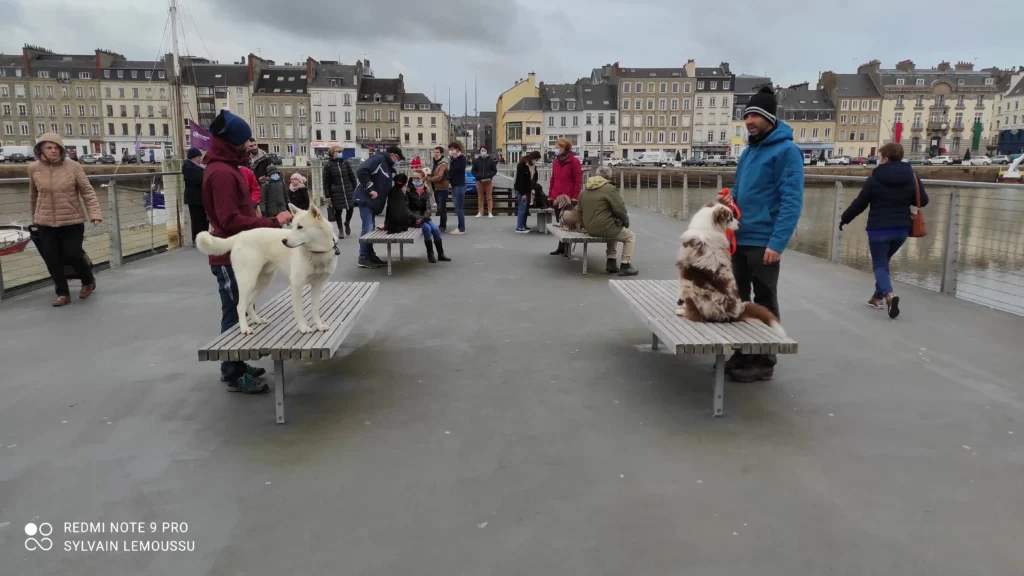 Séance d'éducation collective à Cherbourg